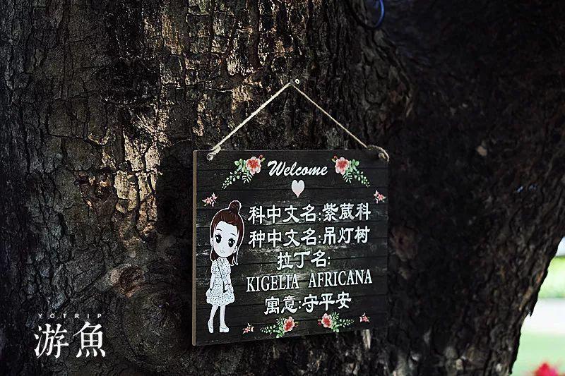 街边“秘制”老汤,不放一丝肉,顾客却抢着买:生意好全靠这招