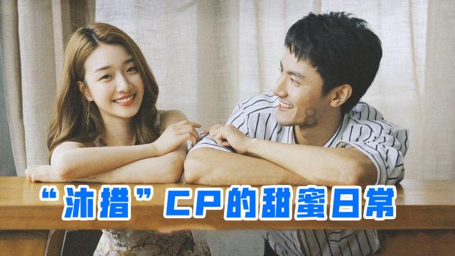 创作猫