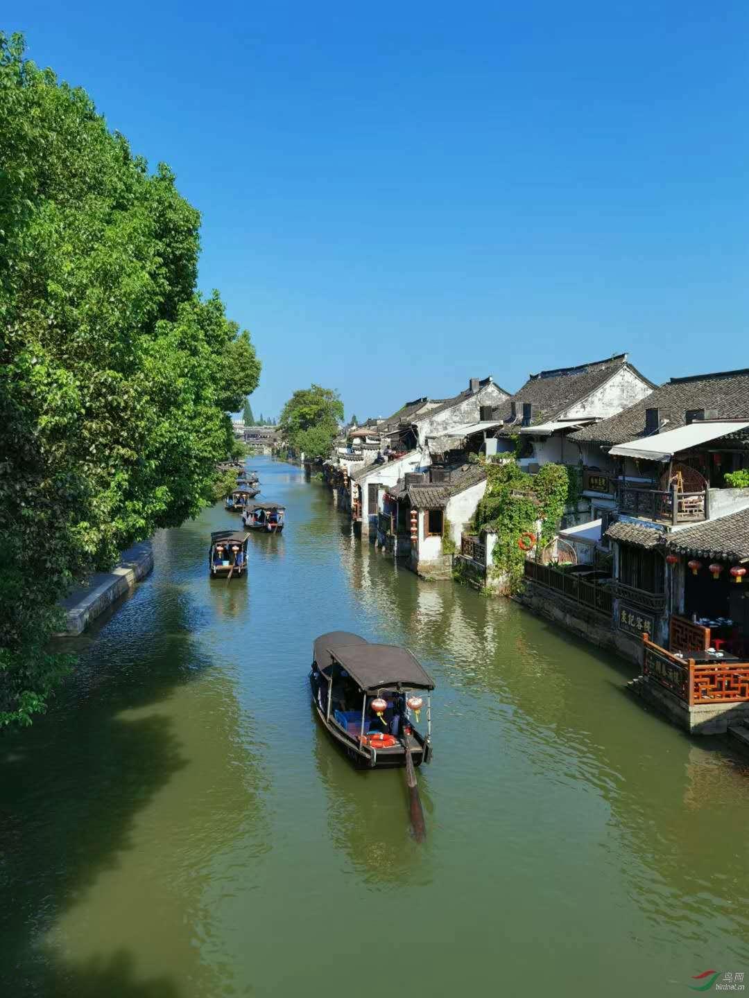 逃离梦想花园